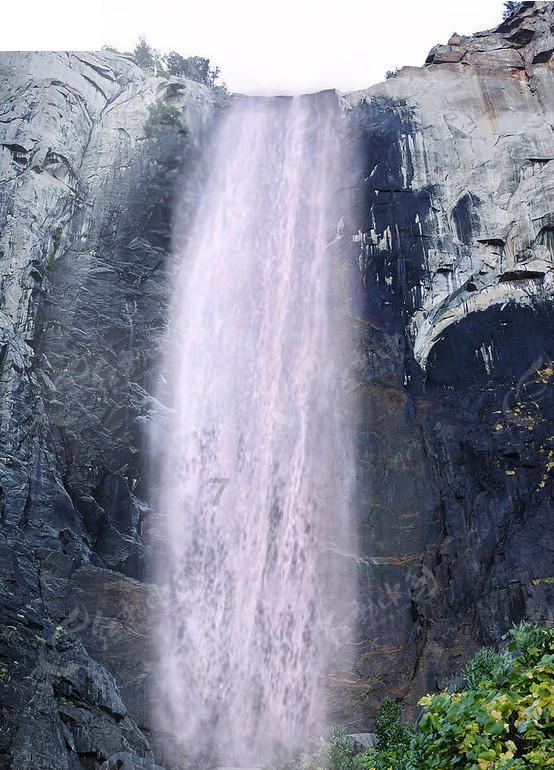 逃离泰莱森林