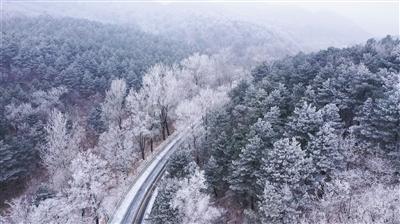 为什么90后不愿意取悦领导？游戏画面